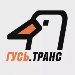 Гусь.Транс — Слушать радио онлайн